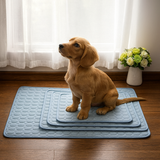 ChillPaws™ Cooling Mat