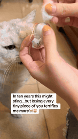 ForeverFur Cat Keepsake