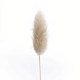Beige Bunny Tails