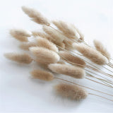 Beige Bunny Tails