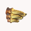 Simulation Fish Cat Toys Soft Plush Catnip Toy Interactive Cat Toys Gifts Funny 3D Fish Shape Doll Pet Supplies