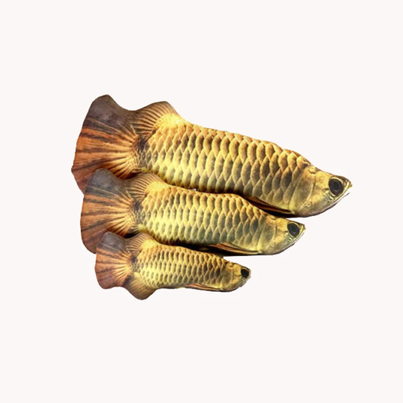 FlippyFish