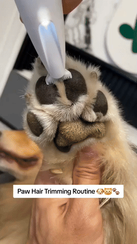 PawSoother™