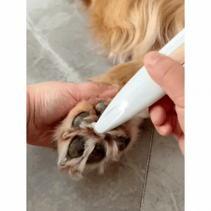 PawSoother™